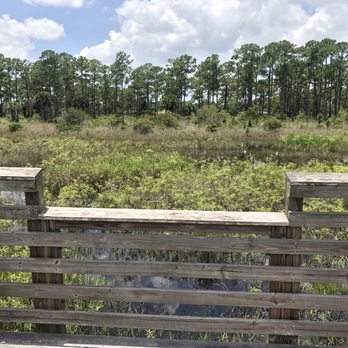 Acreage Pines Natural Area - Parks Near Me - West Palm Beach, Florida Acreage Pines Natural Area - Parks Near Me - West Palm Beach, Florida