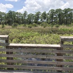 Acreage Pines Natural Area