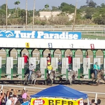 Turf Paradise - Horse Racing Near Me - Phoenix, Arizona Turf Paradise - Horse Racing Near Me - Phoenix, Arizona