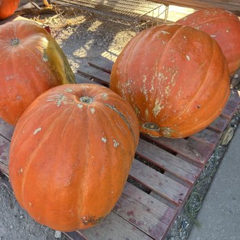 Louisburg Cider Mill - Specialty Food Near Me - Louisburg, Kansas Louisburg Cider Mill - Specialty Food Near Me - Louisburg, Kansas
