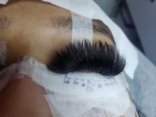 Virtue Lash by null
