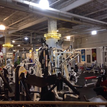 ゴールドジムサウス東京アネックス - Updated February 2026 - 17