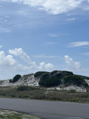 Grayton Beach State Park by null