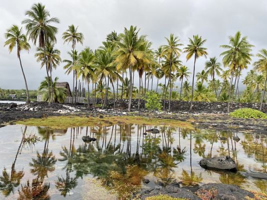 Pu'uhonua O Honaunau National Historical Park by null