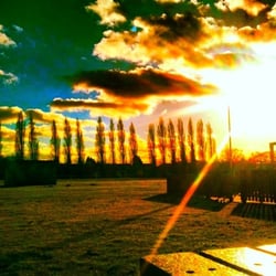 Castrol Sports & Social Club - Sitting outside on patio looking towards play park