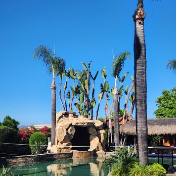 Sebastian Landscaping &Tree service - After - Tree Services Near Me Sebastian Landscaping &Tree service - After - Tree Services Near Me