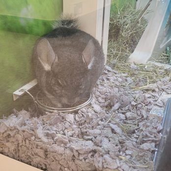 PetSmart - Pet Stores Near Me - Roseville, Minnesota