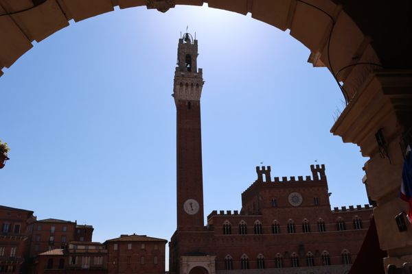 Palazzo Pubblico by null