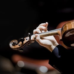 Omroep Muziek