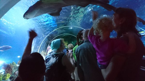 SEA LIFE Konstanz by null