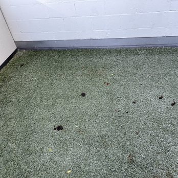3033 Wilshire - Poop everywhere in dog park for multiple days - Apartments Near Me - Los Angeles, California