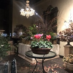 Bloomeys after dusk