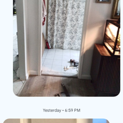 Eugene Handyman - I am handy any jobs repair building things  I am services Massachusetts and Rhode Island my number is 7748360028 email address eugeniogibau@