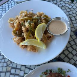 Calamari Calamari