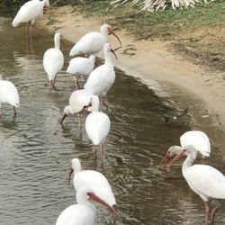 Oak Lake Park