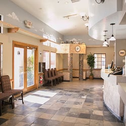 Walton Orthodontics