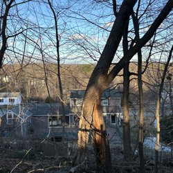 Orloff Tree Service & Excavation