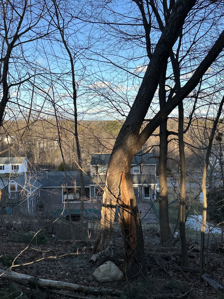 Orloff Tree Service & Excavation - tree service in Leicester, MA
