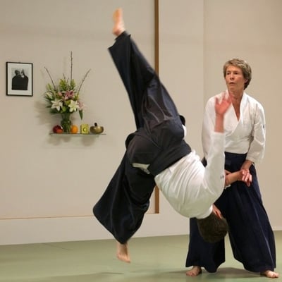 Two Cranes Aikido