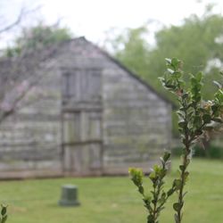 Beyond the Bayou Tours - Whitney Plantation