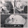 Photo of Brilliant Best Friends