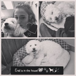 Brilliant Best Friends