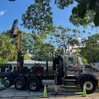 Tree Jaws - Tree Services Near Me - Fort Lauderdale, Florida