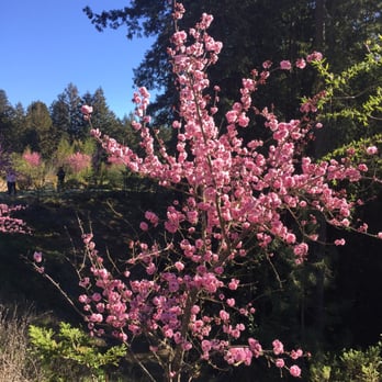 Tu Vien Kim Son Monastery - Buddhist Temples Near Me - Watsonville, California