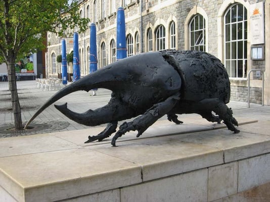 We The Curious by null