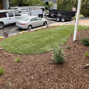 Gomez Landscape & Tree Care - Tree Services Near Me - Thousand Oaks, California Gomez Landscape & Tree Care - Tree Services Near Me - Thousand Oaks, California