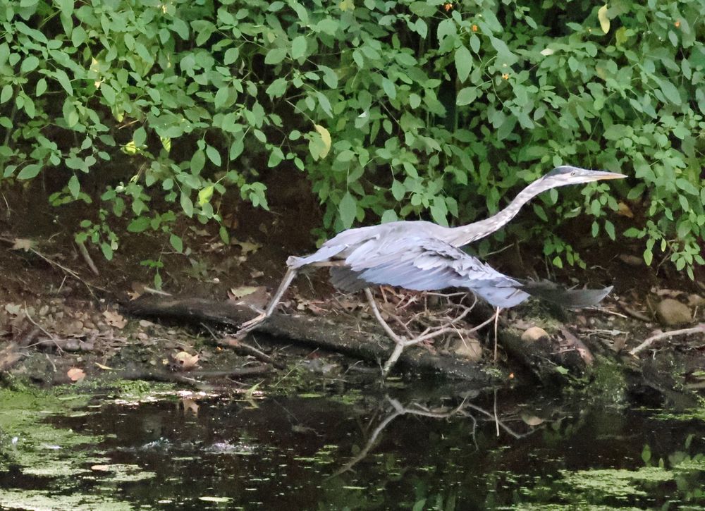 Social spots from Blackstone River Bikeway