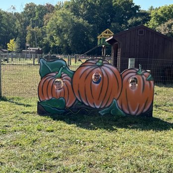 Maple Leaf Farms - Nurseries & Gardening Near Me - Manalapan Township, New Jersey Maple Leaf Farms - Nurseries & Gardening Near Me - Manalapan Township, New Jersey