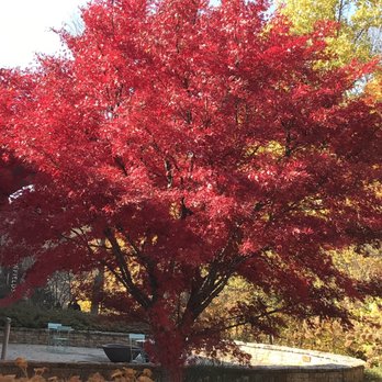 Newfields - Fall color - Parks Near Me - Indianapolis, Indiana