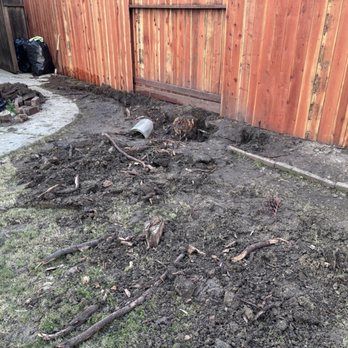 Y&A Tree Service - The stump before grinding. - Tree Services Near Me Y&A Tree Service - The stump before grinding. - Tree Services Near Me