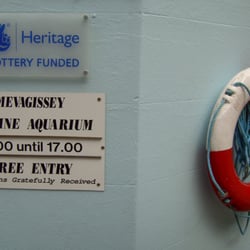 Aquarium - Photo. April 2009.