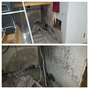 Green Home Solutions - Mold located inside a storage room prior to remediation. - Damage Restoration Near Me