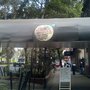 Photo of Luna Llena