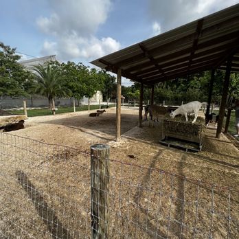 FarmHouse Miami - American Near Me - Miami, Florida