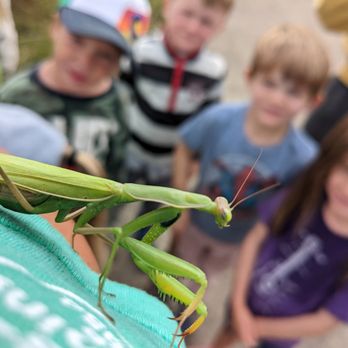 Thorne Nature Experience - Some of our campers viewing a Praying Mantis being held by their camp counselor - Community Service/Non-Profit Near Me - Boulder, Colorado Thorne Nature Experience - Some of our campers viewing a Praying Mantis being held by their camp counselor - Community Service/Non-Profit Near Me - Boulder, Colorado