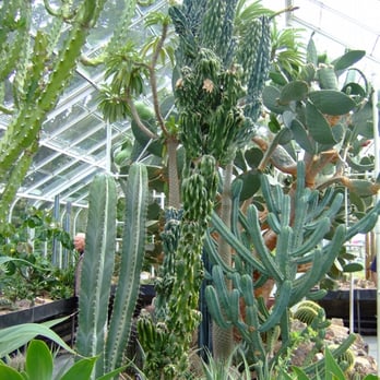 Volunteer Park Conservatory - Parks Near Me - Seattle, Washington
