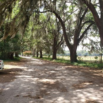 Honey Ridge Stables - Entry - Horseback Riding Near Me - Guyton, Georgia