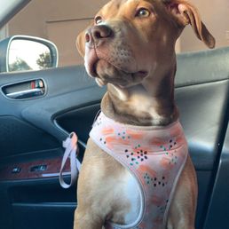 After grooming