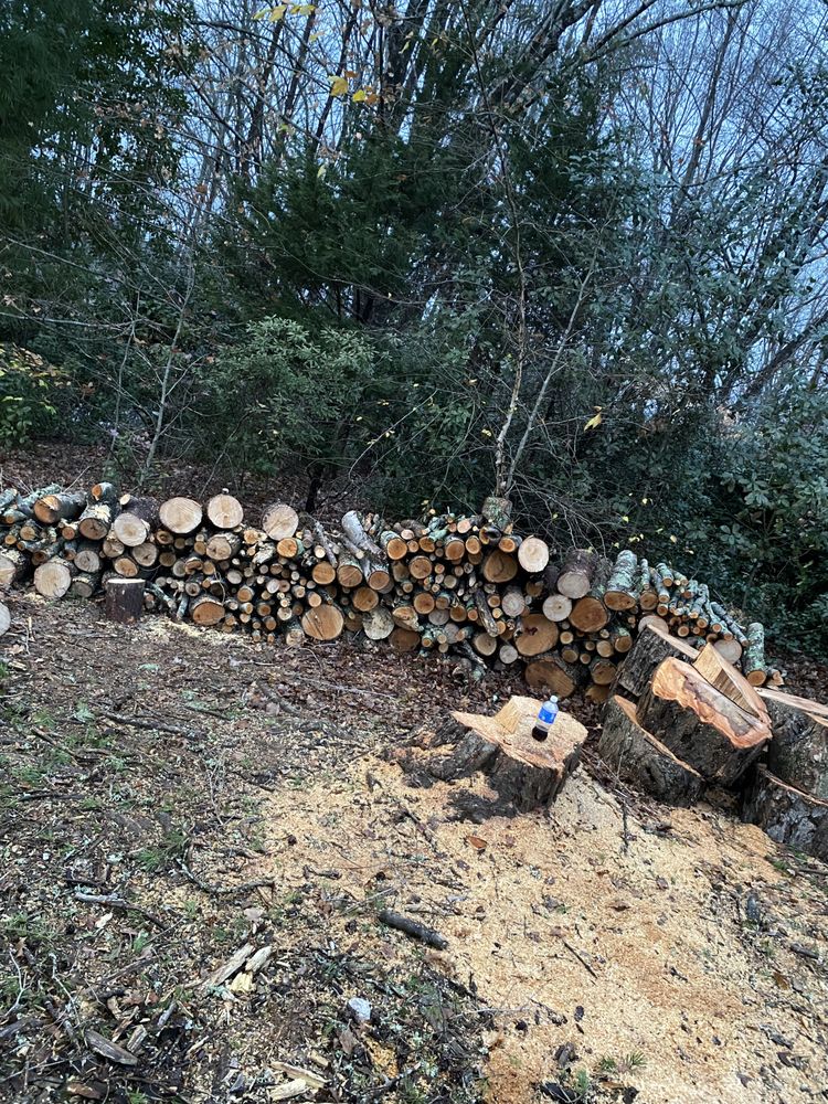 QUALITY TREE CARE Updated August 2024 Thomasville, North Carolina