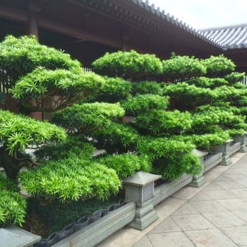 南蓮園池 - Buddhist Temples Near Me - Hong Kong, HK