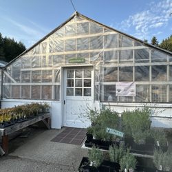 Bainbridge Gardens