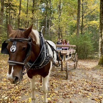 Cades Cove Campground Store and Bike Rental - Horseback Riding Near Me - Townsend, Tennessee Cades Cove Campground Store and Bike Rental - Horseback Riding Near Me - Townsend, Tennessee