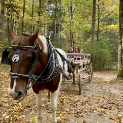 Cades Cove Campground Store and Bike Rental