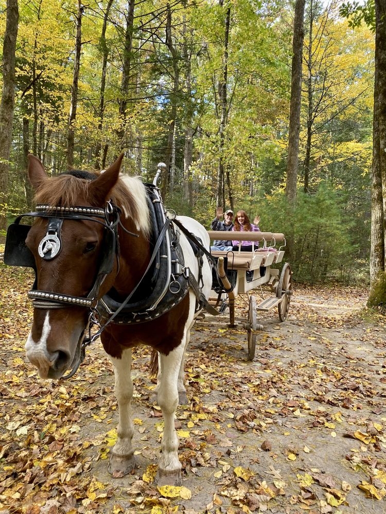 CADES COVE TRADING Updated September 2024 40 Photos & 35 Reviews