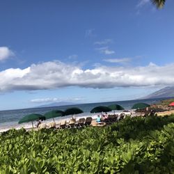 Turtle Point Golf Course - Left side of the par 3, ocean view.