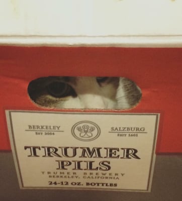 Trumer Taproom by null